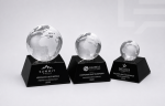 Trofeo Cristal Óptico